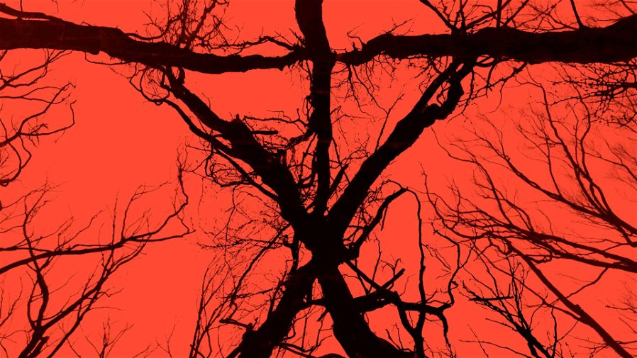 Immagine di Svelata la data d'uscita della versione fisica di Blair Witch per PS4 e Xbox One
