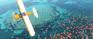 Poster di Microsoft Flight Simulator