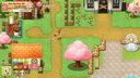 Immagine di Harvest Moon: Light of Hope