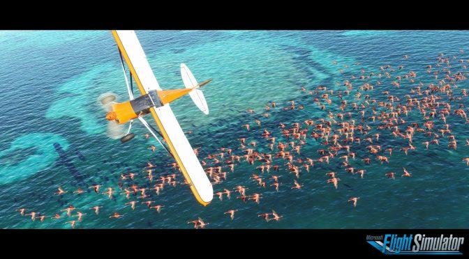 Immagine di Microsoft Flight Simulator potrebbe supportare il Ray Tracing in tempo reale