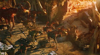 Poster di Beautiful Desolation