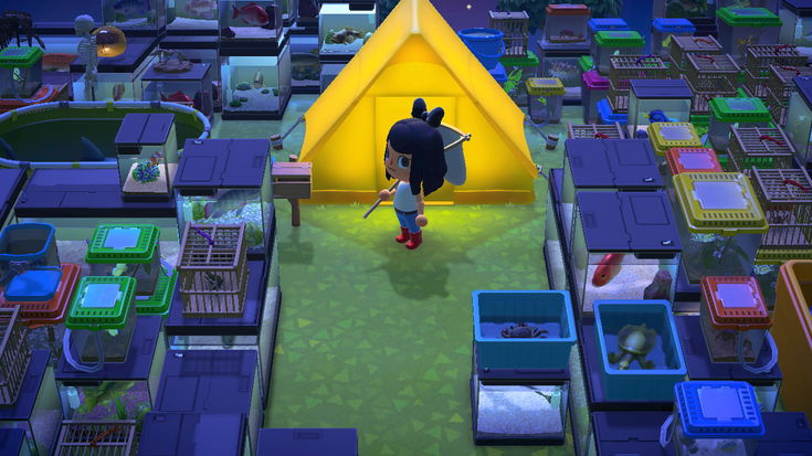 In Animal Crossing: New Horizons, gli insetti e i pesci stanno sfuggendo di mano