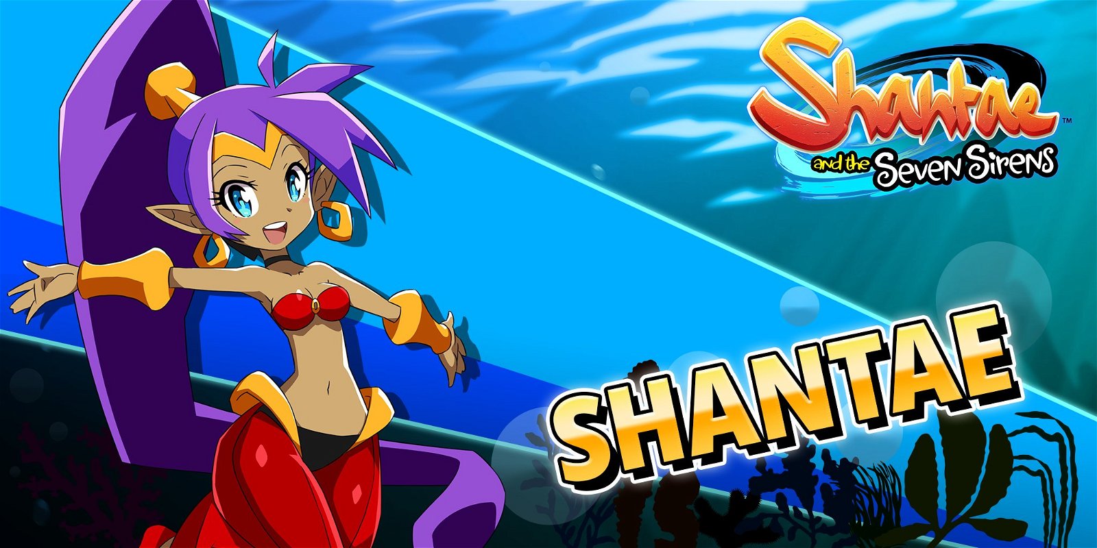 Shantae and the Seven Sirens arriva a fine mese su PC e console