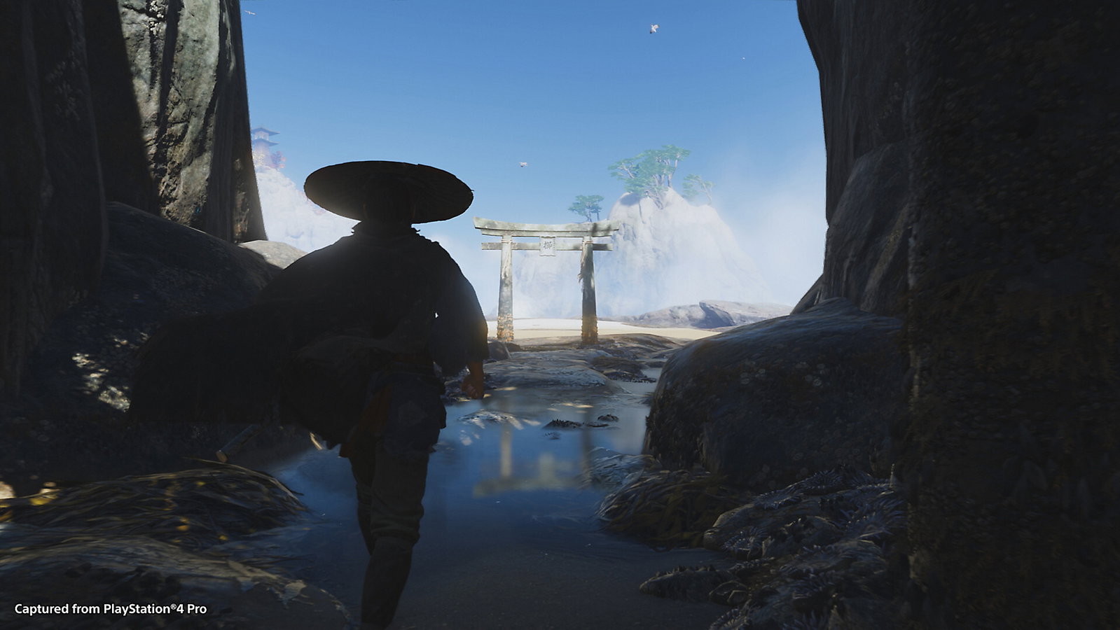 Ghost of Tsushima ha i sottotitoli troppo piccoli? Si accende la polemica