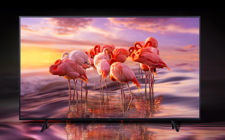 Immagine di Smart TV QLED Samsung QE75Q60RA da 75" ad un prezzo shock su eBay!